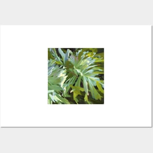 Philodendron Leaves Posters and Art